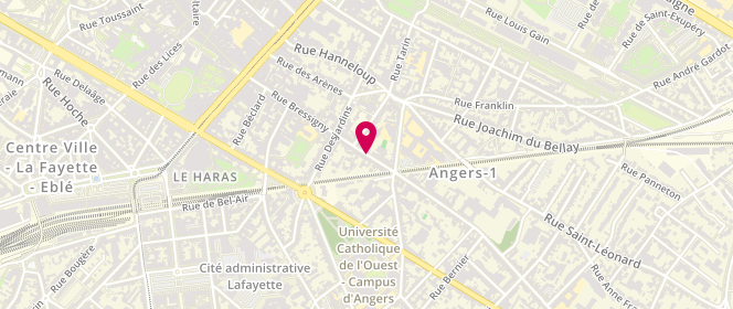 Plan de LEROY Yves, 128 Rue Bressigny, 49100 Angers