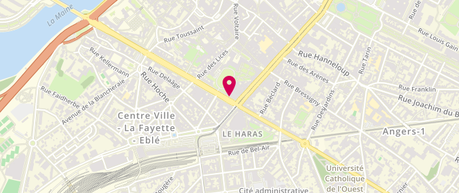 Plan de NICHITA Mirela Marcela, 53 Boulevard du Roi Rene, 49100 Angers
