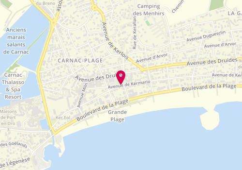 Plan de LE FURAUT-PINSON Gaétane, 12 Avenue de Kermario, 56340 Carnac