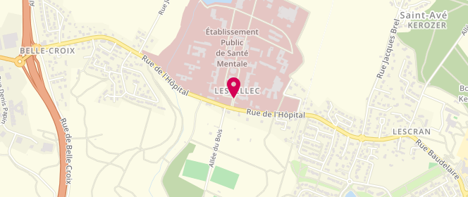 Plan de PETIT Didier, 22 Rue de l'Hopital, 56896 Saint-Avé