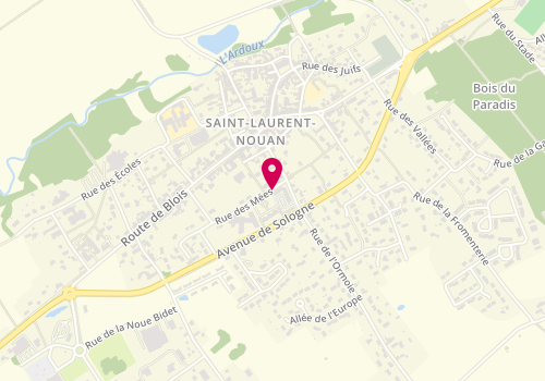 Plan de LE BAUT Morgane, 9 Bis Rue des Mees, 41220 Saint-Laurent-Nouan