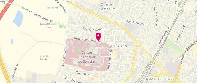 Plan de SELMI Monaam, 23 Avenue Louis Pasteur, 67606 Sélestat