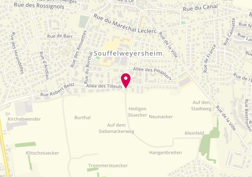 Plan de PFAFF Yves, 13 Rue des 7 Arpents, 67460 Souffelweyersheim