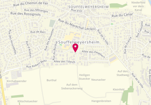 Plan de SCHLEIFER Thierry, 1 Rue du College, 67460 Souffelweyersheim