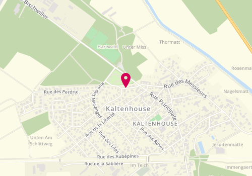 Plan de MARTIN-KUNTZ Alexandra, 2 Rue des Rossignols, 67240 Kaltenhouse