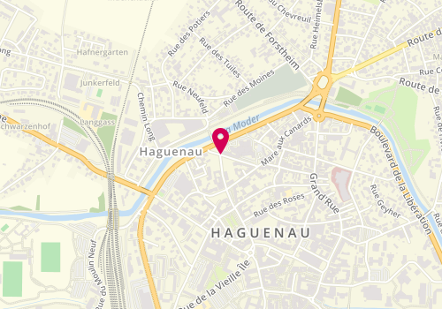 Plan de HAAS Frédéric, 1 Rue Colome, 67500 Haguenau