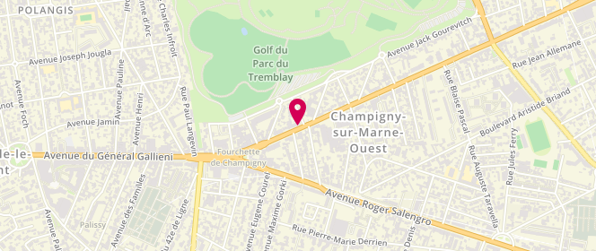 Plan de DESRUES GONZALEZ ISABELLE, 29 Avenue du Général de Gaulle, 94500 Champigny-sur-Marne