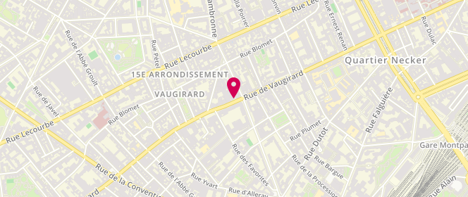 Plan de BELLMANN Caren, 236 Rue de Vaugirard, 75015 Paris