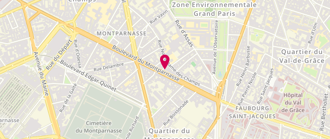 Plan de TEREM-RAPOPORT Carine, 133 Boulevard du Montparnasse, 75006 Paris