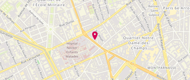 Plan de SCHEUER-NIRO Birgit, 9 Ter Boulevard du Montparnasse, 75006 Paris