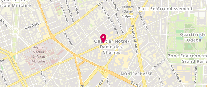 Plan de DAUENDORFFER Jean-Noël, 102 Rue de Vaugirard, 75006 Paris