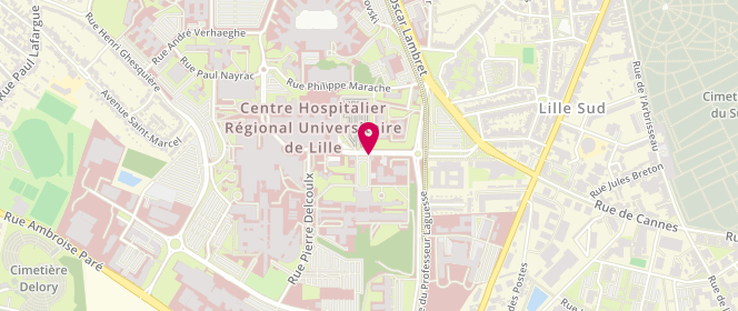 Plan de DUCHEINE Clément, Boulevard du Pr Jules Leclercq, 59037 Lille