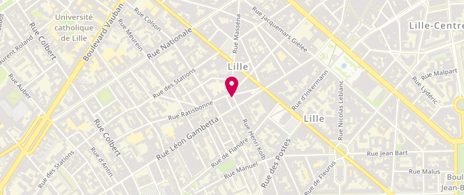 Plan de DUMONT Bruno, 102 Rue Masséna, 59000 Lille